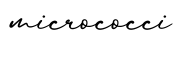 单词micrococci书写