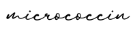单词micrococcin书写
