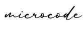 单词microcode书写