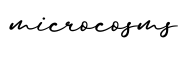 单词microcosms书写