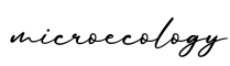 单词microecology书写