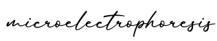 单词microelectrophoresis书写