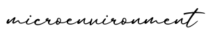单词microenvironment书写