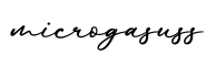 单词microgasuss书写