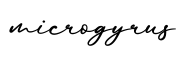 单词microgyrus书写