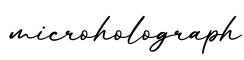 单词microholograph书写