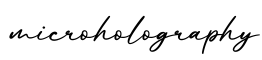 单词microholography书写