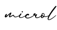 单词microl书写