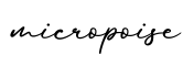 单词micropoise书写
