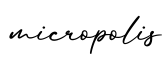 单词micropolis书写