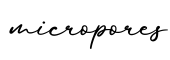 单词micropores书写