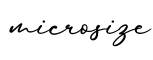 单词microsize书写