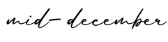 单词mid-december书写