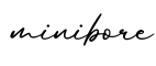 单词minibore书写