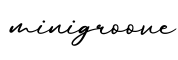 单词minigroove书写