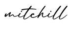 单词mitchill书写