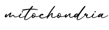 单词mitochondria书写