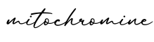 单词mitochromine书写
