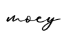单词moey书写