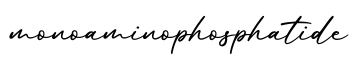 单词monoaminophosphatide书写