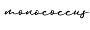 单词monococcus书写