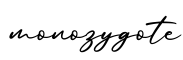 单词monozygote书写