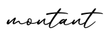 单词montant书写