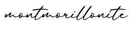 单词montmorillonite书写
