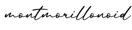 单词montmorillonoid书写