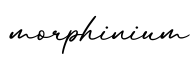 单词morphinium书写