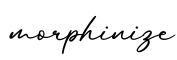 单词morphinize书写