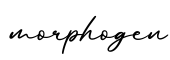 单词morphogen书写