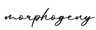 单词morphogeny书写