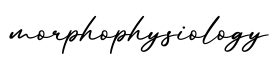 单词morphophysiology书写