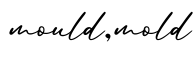 单词mould,mold书写