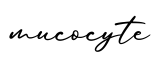 单词mucocyte书写