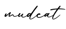单词mudcat书写