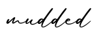 单词mudded书写