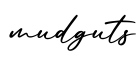 单词mudguts书写
