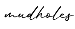 单词mudholes书写