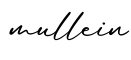 单词mullein书写