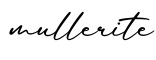 单词mullerite书写