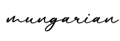 单词mungarian书写