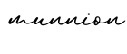 单词munnion书写