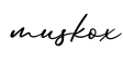 单词muskox书写