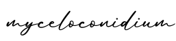 单词myceloconidium书写