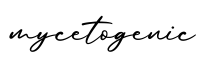 单词mycetogenic书写