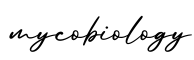 单词mycobiology书写