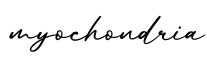 单词myochondria书写