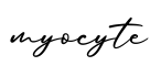 单词myocyte书写